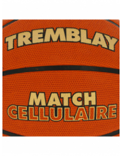 Ballon de basketball match cellulaire orange - Tremblay