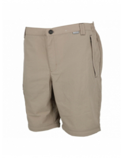 Pantalon de randonnée 2 en 1 beige homme - Regatta