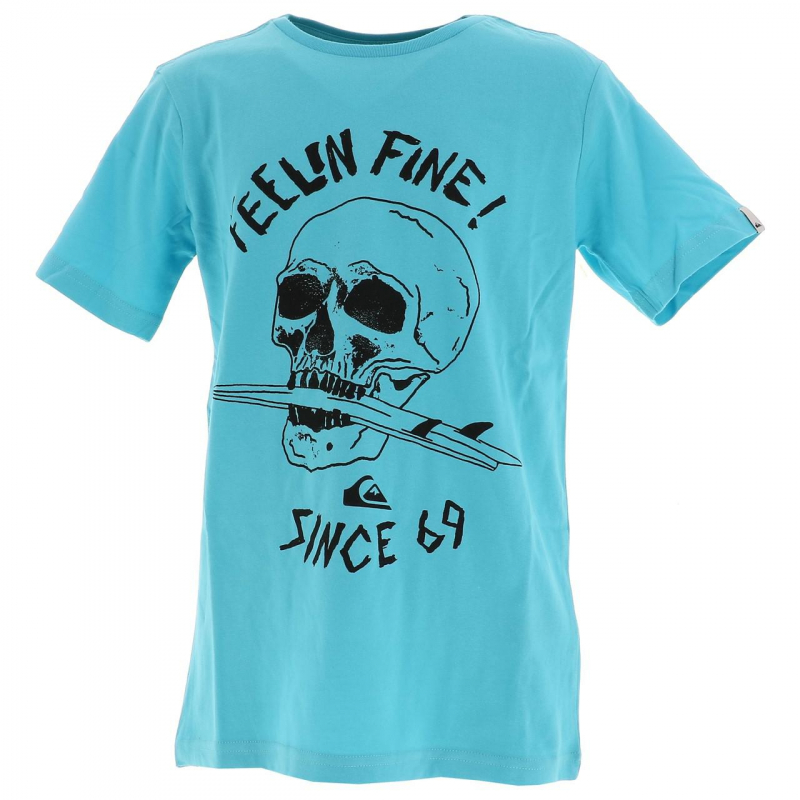 T-shirt skull board bleu ciel garçon - Quiksilver