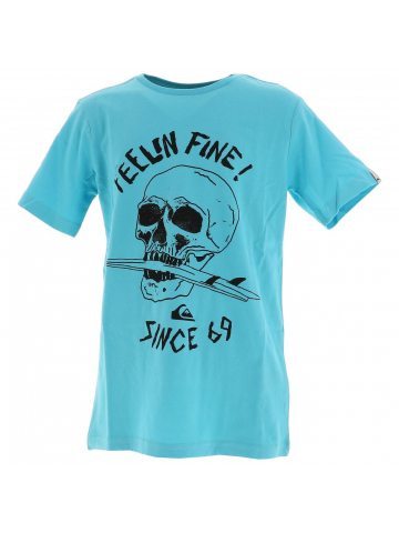 T-shirt skull board bleu ciel garçon - Quiksilver