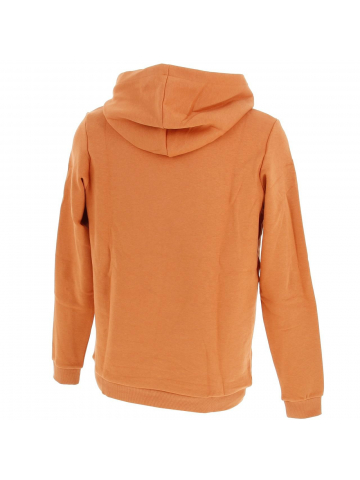 Sweat à capuche surface orange garçon - Jack & Jones