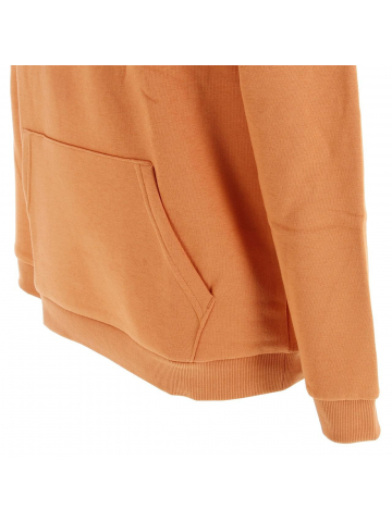 Sweat à capuche surface orange garçon - Jack & Jones