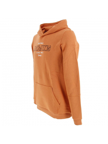 Sweat à capuche surface orange garçon - Jack & Jones