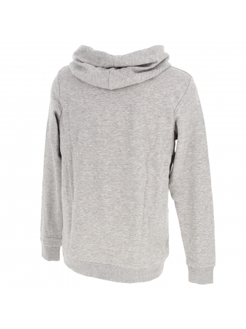 Sweat à capuche bjorn gris garçon - Jack & Jones