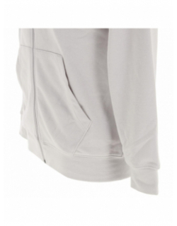 Sweat à capuche zippé big asics gris clair homme - Asics