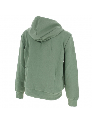 Sweat à capuche noomi vert femme - Only