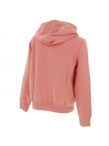 Sweat à capuche noomi rose femme - Only