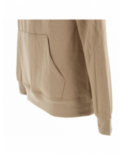 Sweat à capuche nark beige homme - Teddy Smith