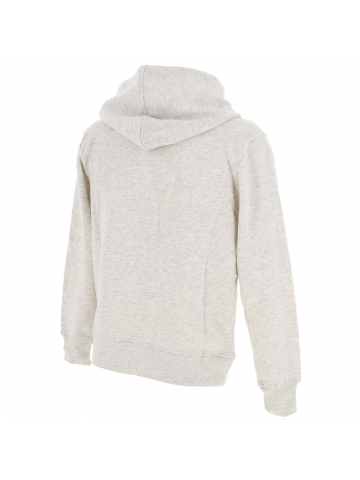 Sweat zippé à capuche atelo gris homme - La Maison Blaggio