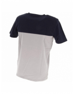 T-shirt bicolore molene gris homme - Quiksilver