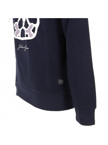 Sweat à capuche dog and bones bleu homme - Jack & Jones