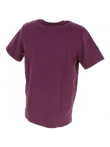 T-shirt vl tonal aubergine homme - Superdry