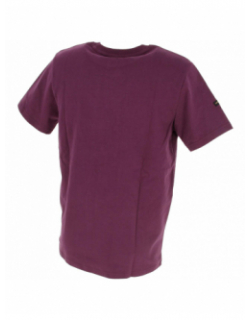 T-shirt vl tonal aubergine homme - Superdry