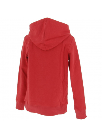 Sweat à capuche floki rouge garçon - Jack & Jones