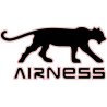 Logo AIRNESS